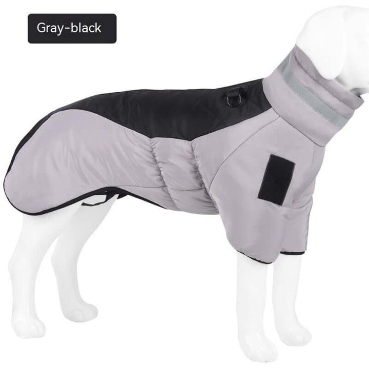 Veste imperméable pour chien de taille moyenne