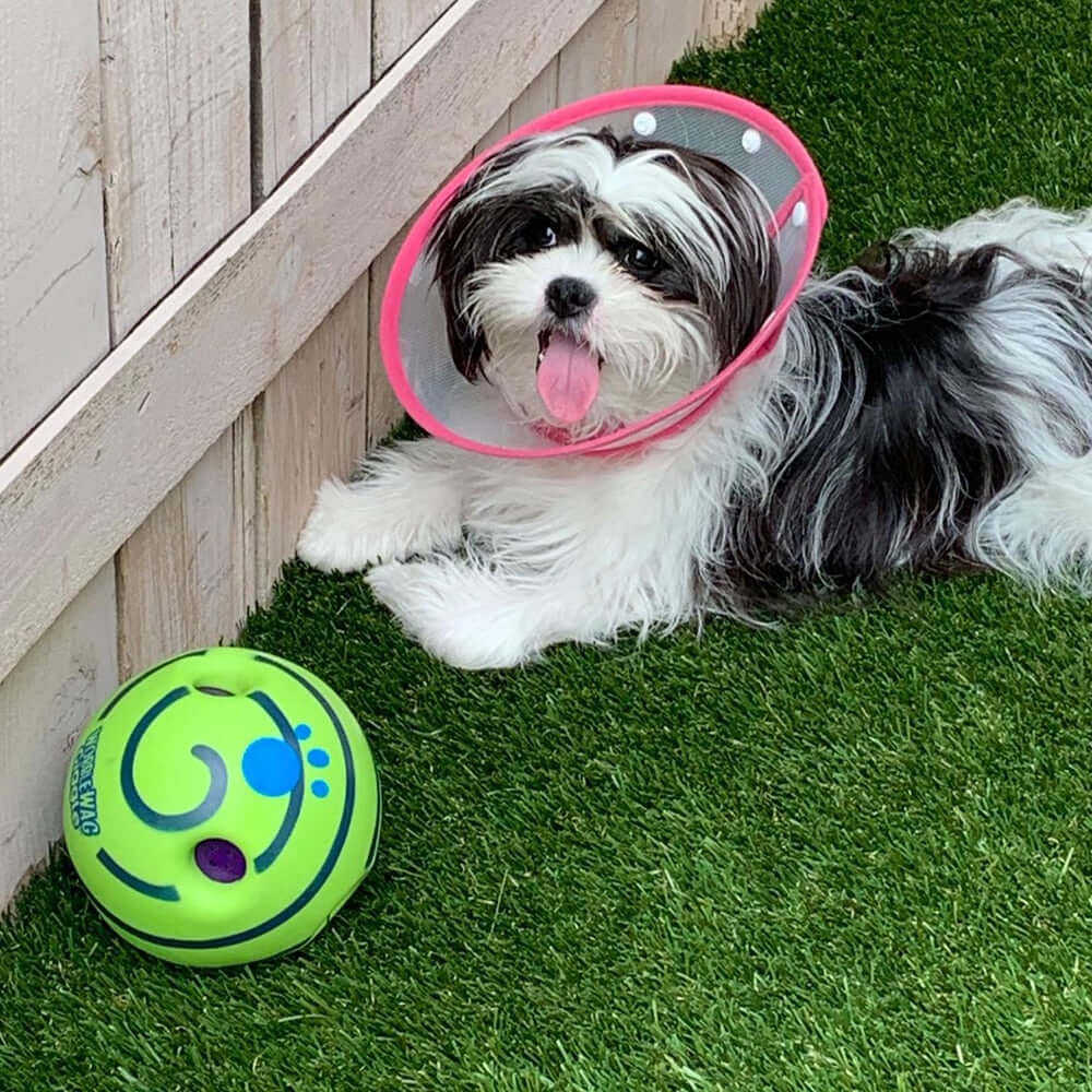 Balle interactive pour chien - GiggleSphere