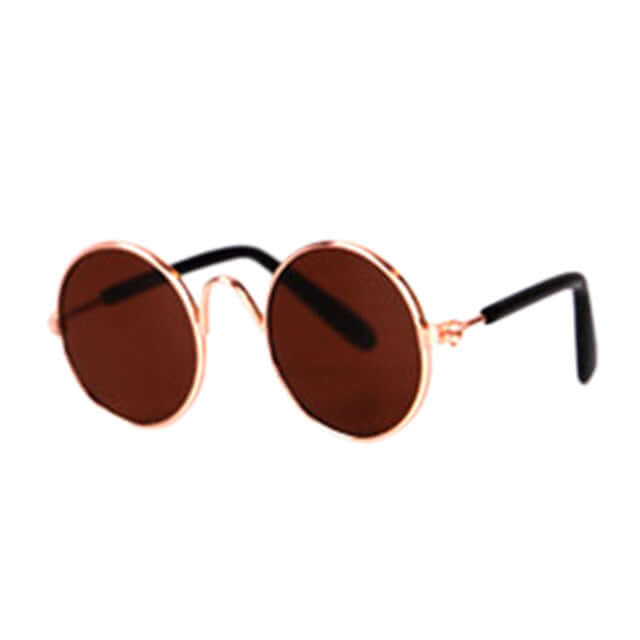 Lunettes tendance pour chat - KittyShades