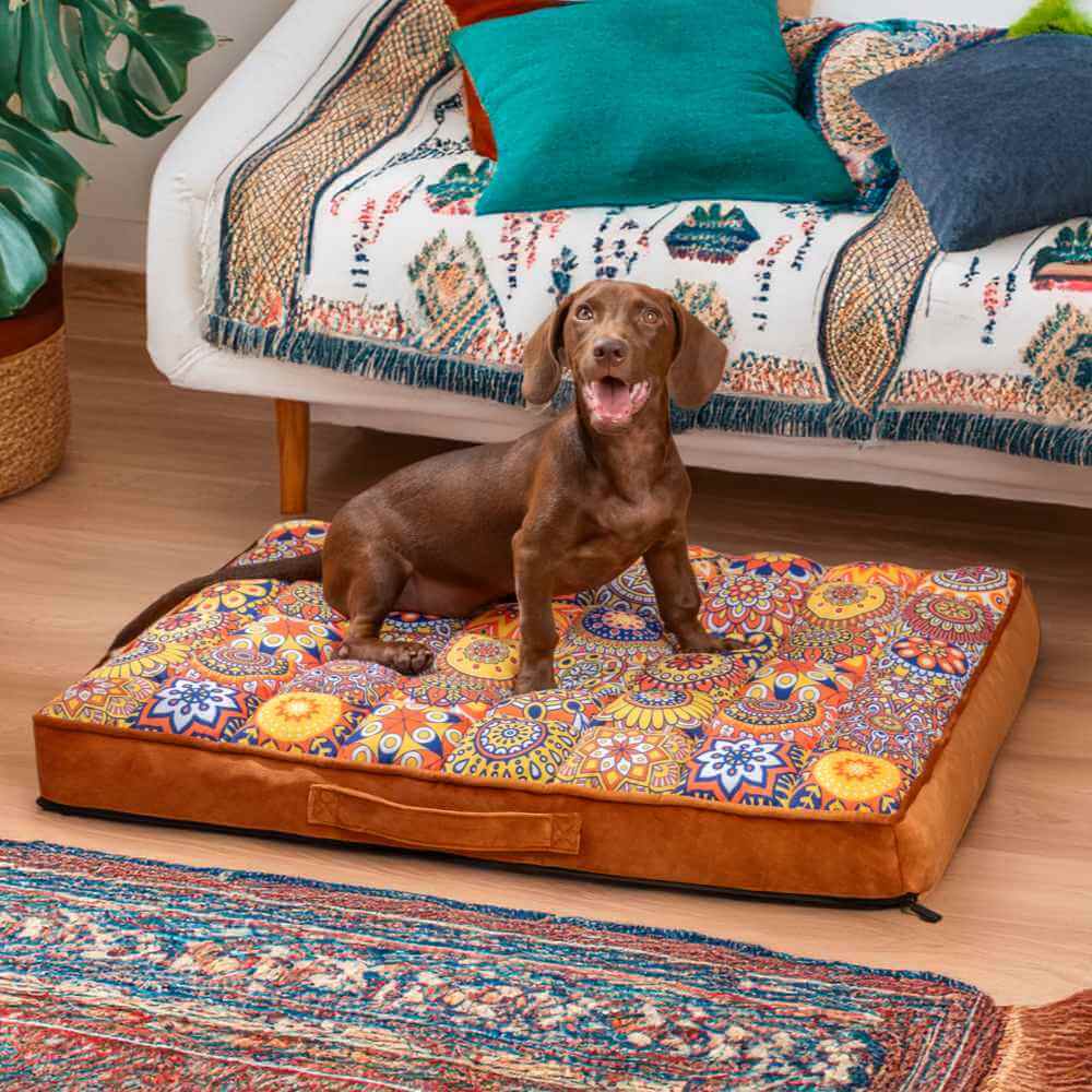 Orthopädisches Hundebett im Marokkanischen Stil