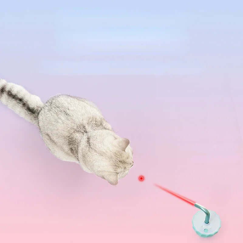 Jouet interactif pour chat avec pointeur laser