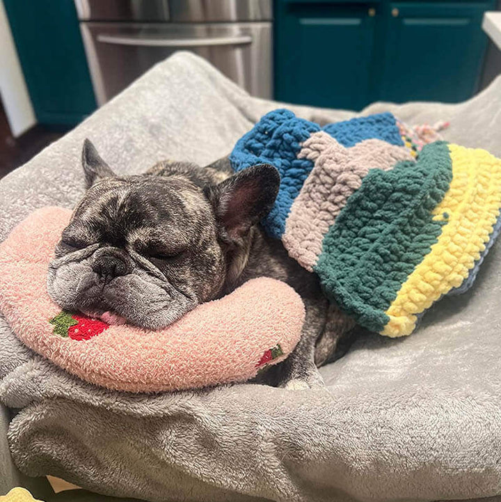 Coussin câlin pour chien pour le repos et le confort