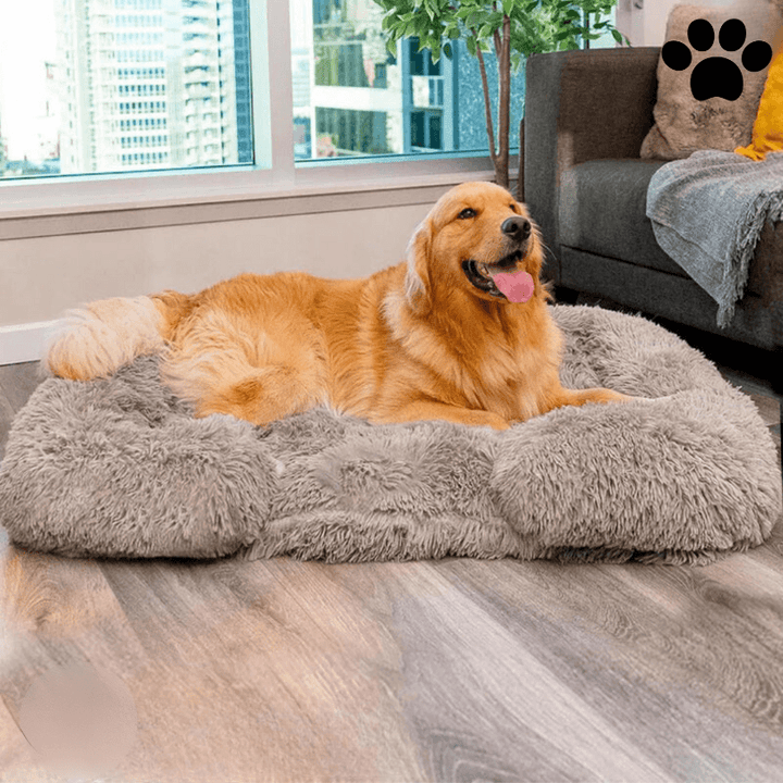 Lit orthopédique pour chien avec mousse à mémoire de forme