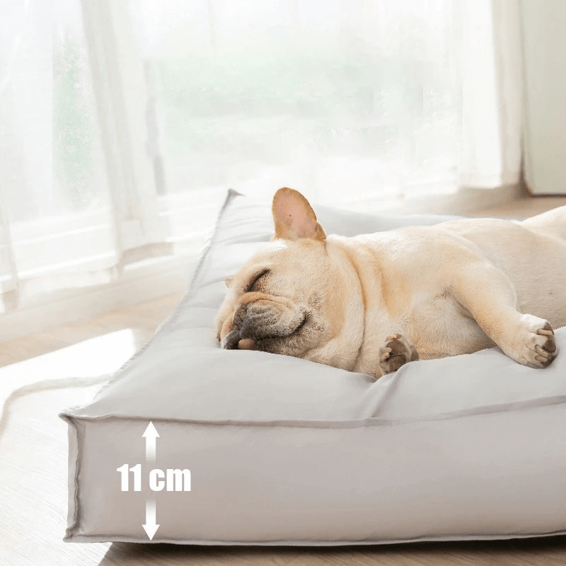 Lit orthopédique pour chien imperméable et confortable