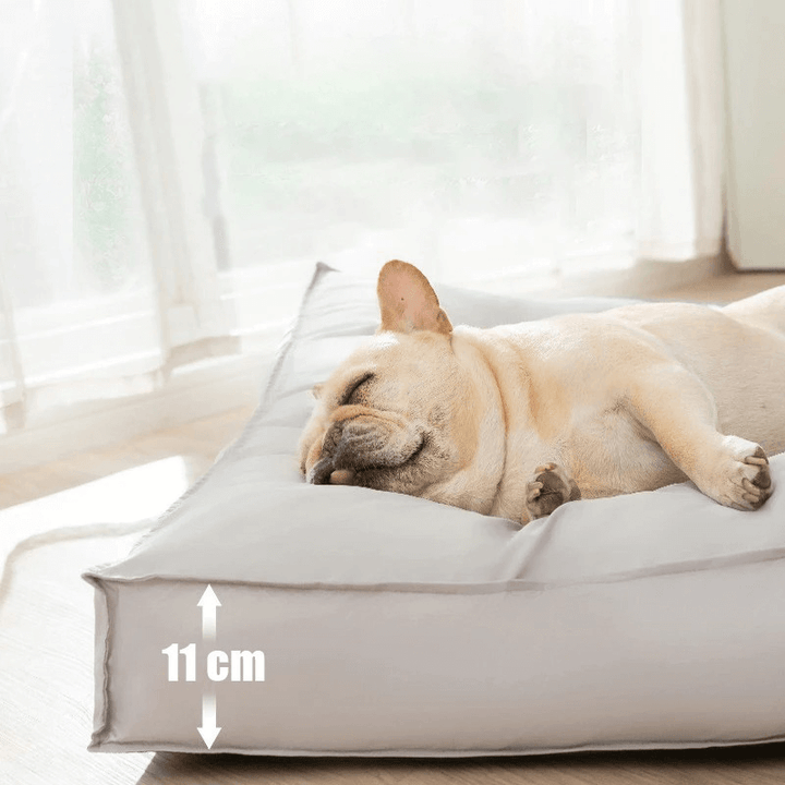 Lit orthopédique pour chien imperméable et confortable