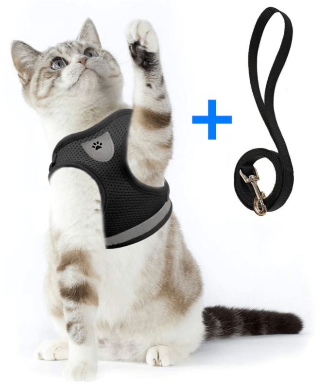 Ausbruchsicheres Katzengeschirr mit Leine