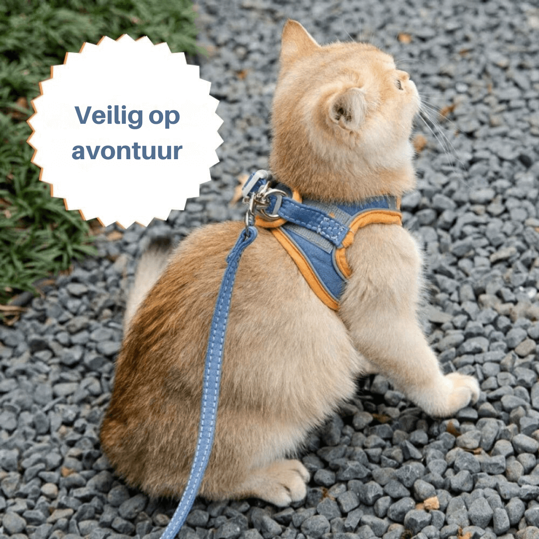 Ausbruchsicheres Katzengeschirr