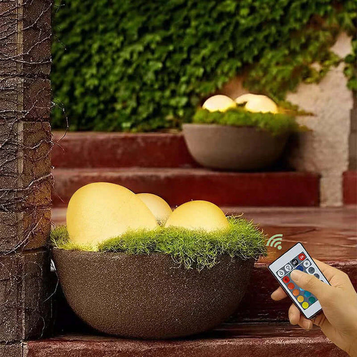Lampe de jardin LED, solaire, extérieur