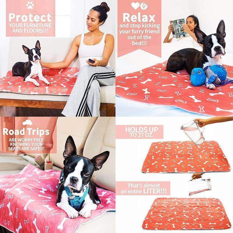Tapis de dressage réutilisable pour chien