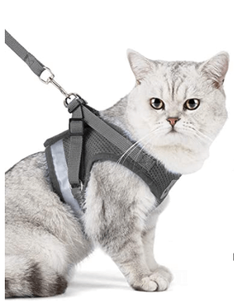 Ausbruchsicheres Katzengeschirr mit Leine