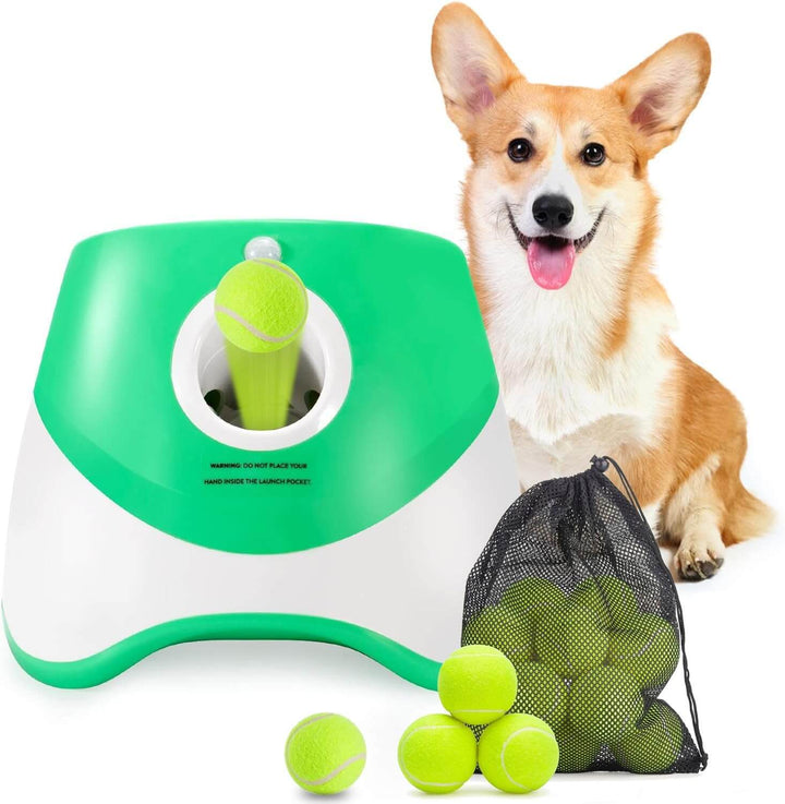 Automatischer Ballwerfer für kleine Hunde mit