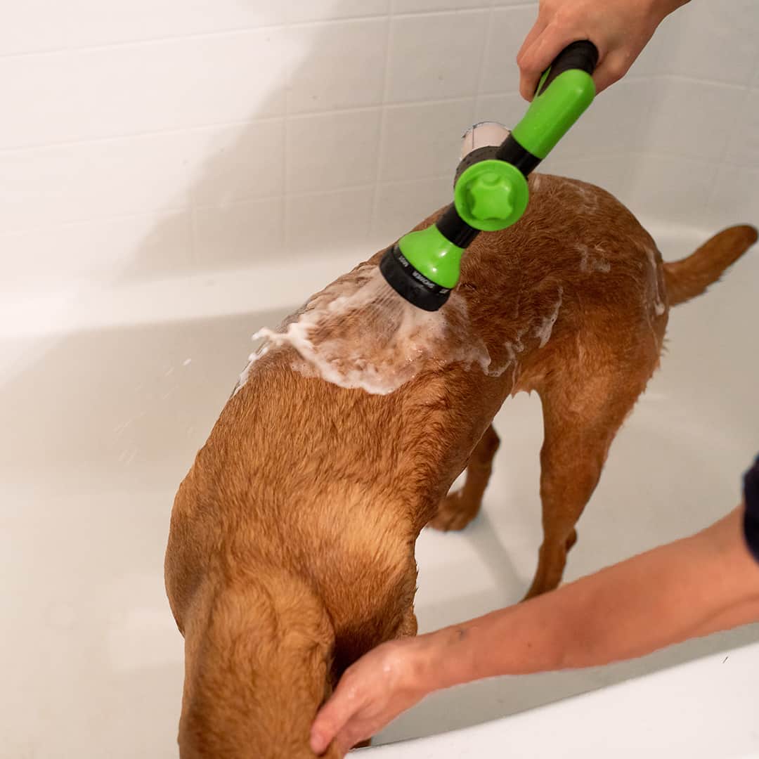 Hunde-Duschbrause für schnelles & einfaches Waschen