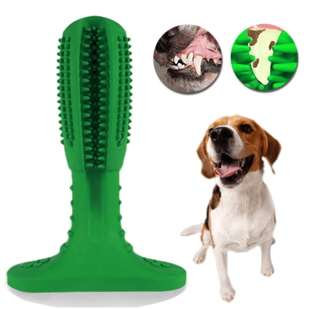 Hundespielzeug Zahnbürste Kauspielzeug