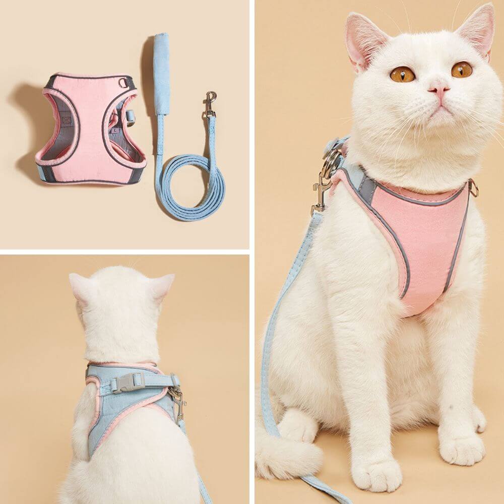 Ausbruchsicheres Katzengeschirr