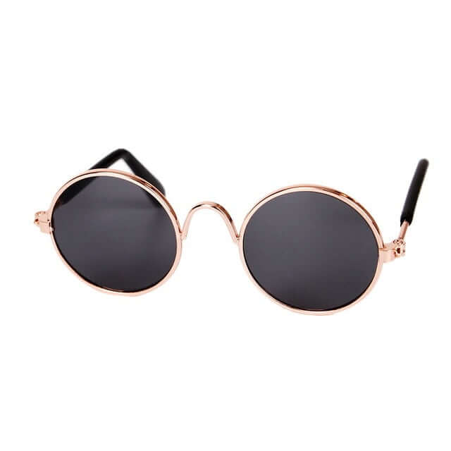 Lunettes tendance pour chat - KittyShades