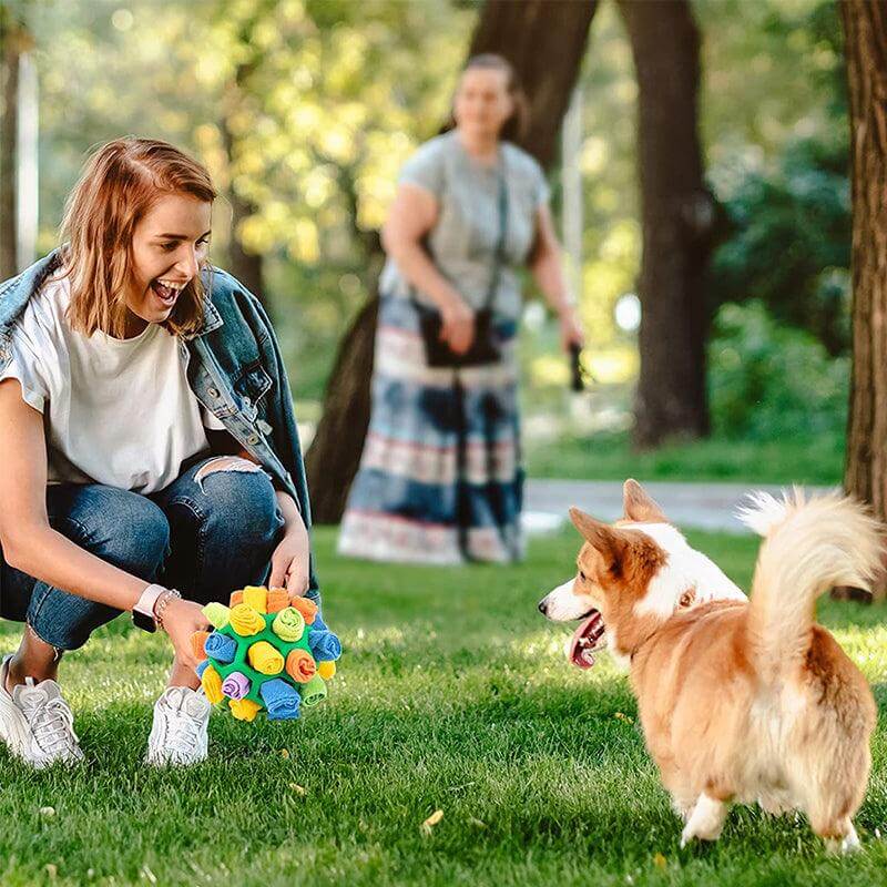 Jouet intelligent pour chien avec tapis à renifler