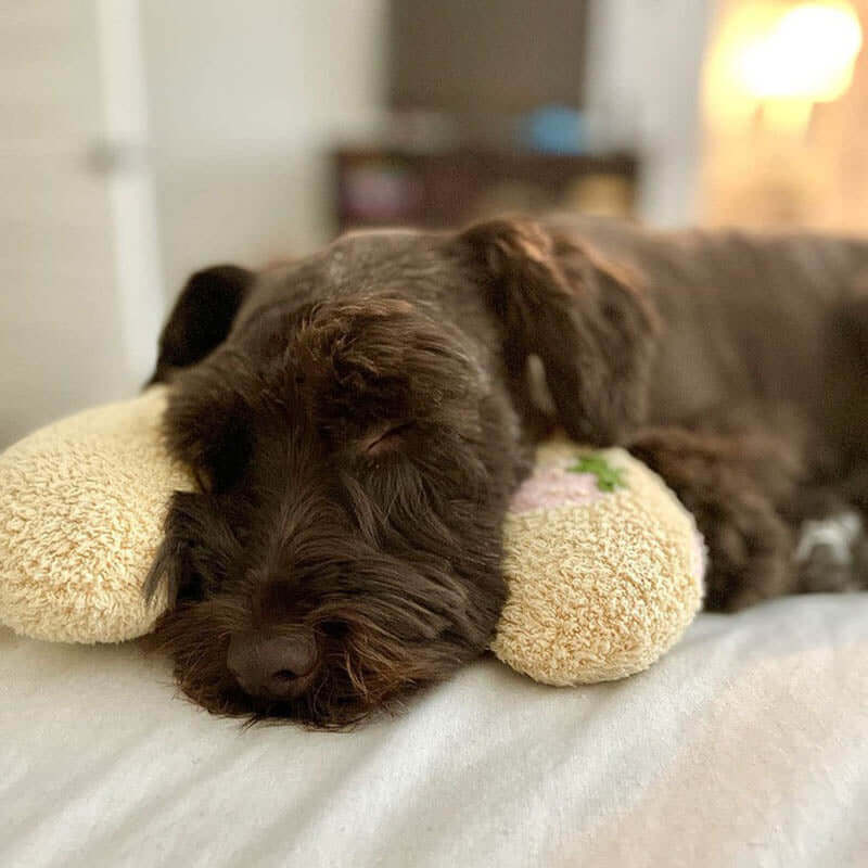 Coussin câlin pour chien pour le repos et le confort