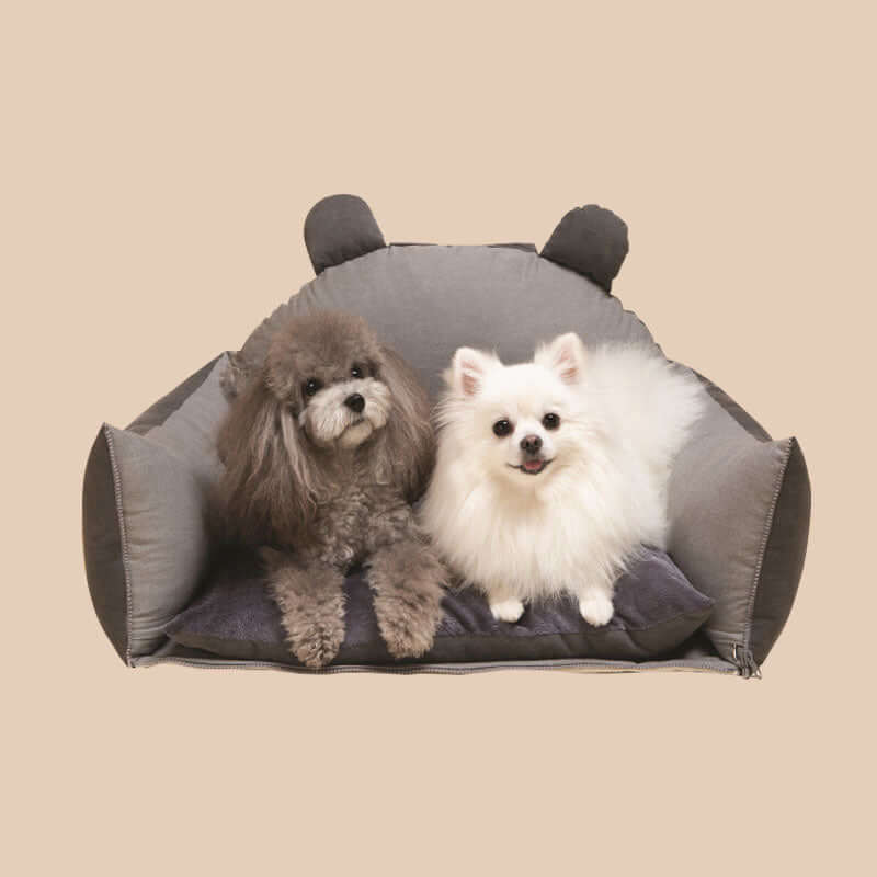 Panier de voiture sécurisé pour chien avec coussin de protection
