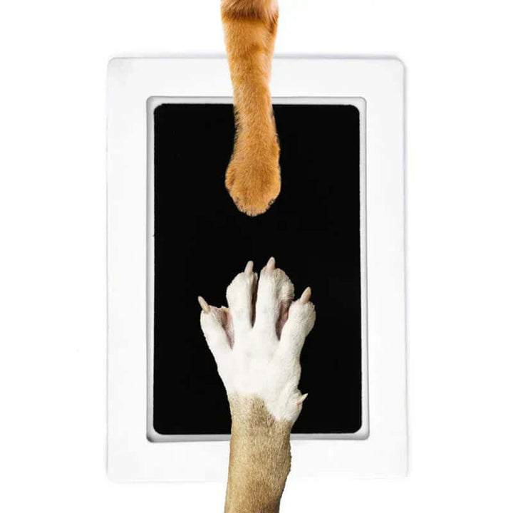 Kit d'empreintes de pattes d'animaux – Kit souvenir