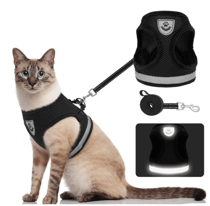 Ausbruchsicheres Katzengeschirr mit Leine