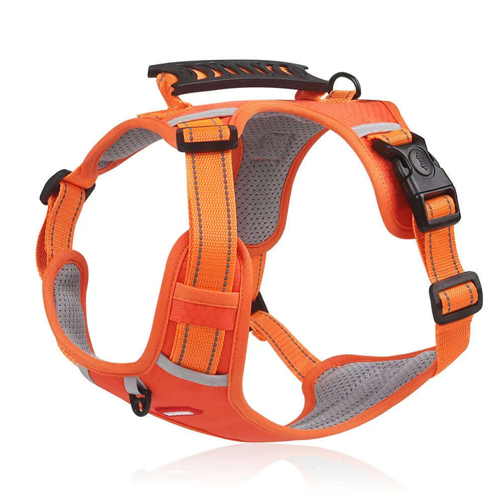Harnais anti-traction pour chien Confort et sécurité