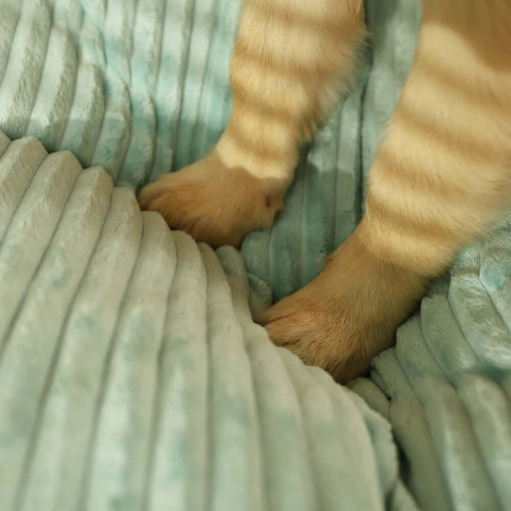 Orthopädisches Hundebett für Komfort und Wärme