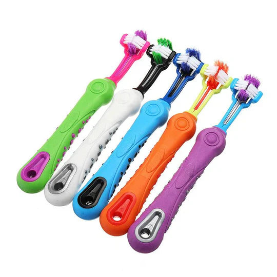 "3-Kopf-Hundezahnbürste mit ergonomischem Griff für effektive 360°-Zahnreinigung in Blau, Grün, Lila, Orange, Weiß."