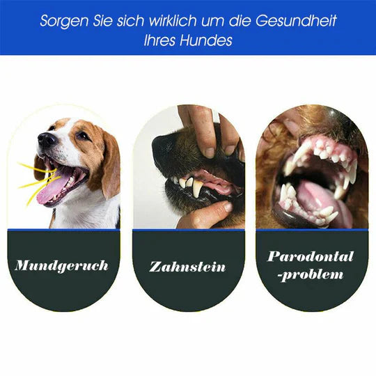 "3-Kopf-Hundezahnbürste mit ergonomischem Griff für effektive 360°-Zahnreinigung in Blau, Grün, Lila, Orange, Weiß."