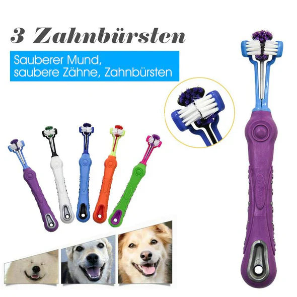"3-Kopf-Hundezahnbürste mit ergonomischem Griff für effektive 360°-Zahnreinigung in Blau, Grün, Lila, Orange, Weiß."