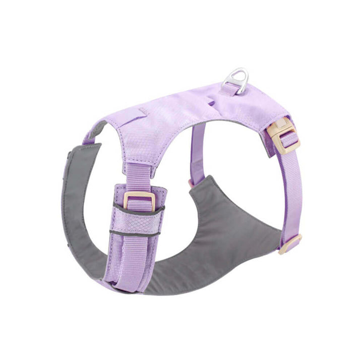 AquaCool Hundegeschirr & Leine Set - Anti-Zieh & Wasserdicht