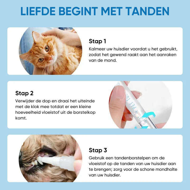 Stylo de soins dentaires pour chiens et chats