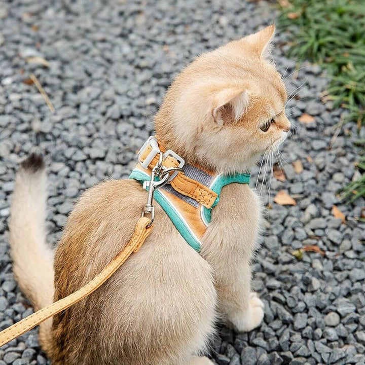 Ausbruchsicheres Katzengeschirr