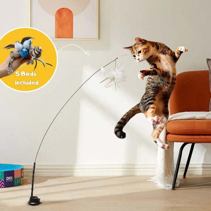 Jouet interactif pour chat - Oiseau à plumes