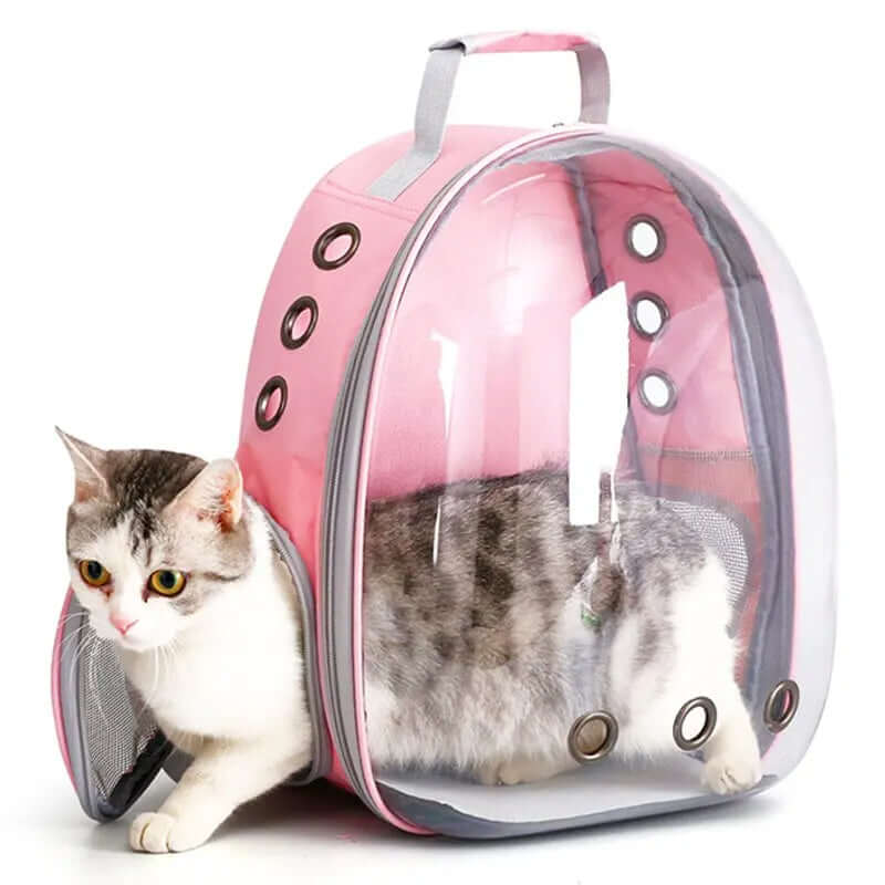 Sac à dos de transport transparent pour animaux de compagnie