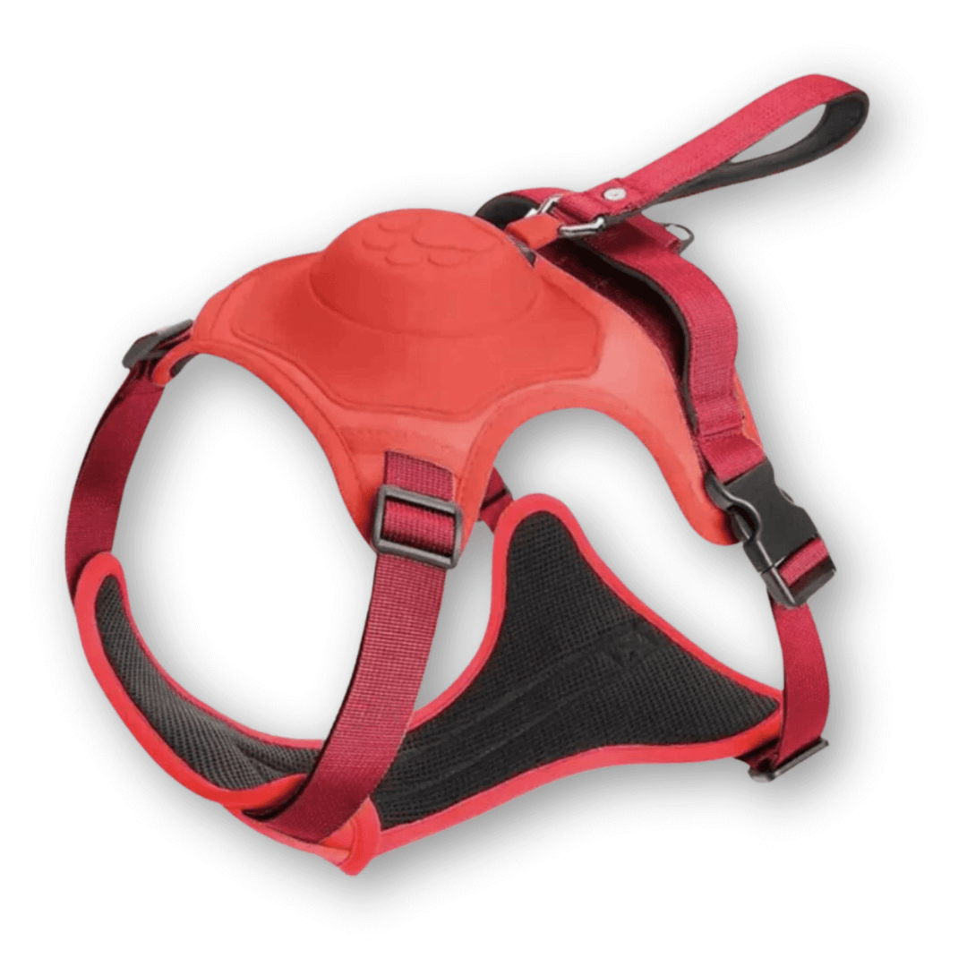 Hundegeschirr mit Leine - FlexiLead