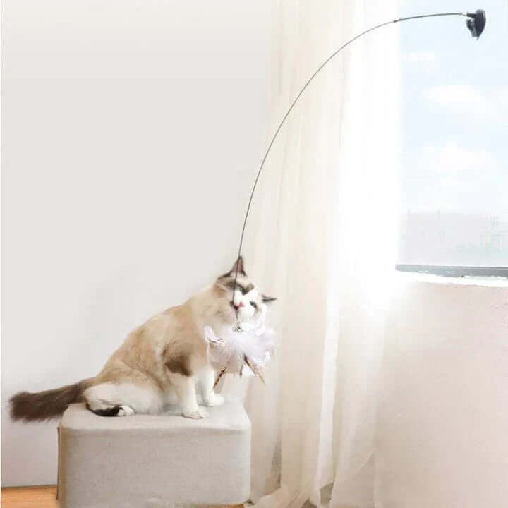 Jouet interactif pour chat - Oiseau à plumes