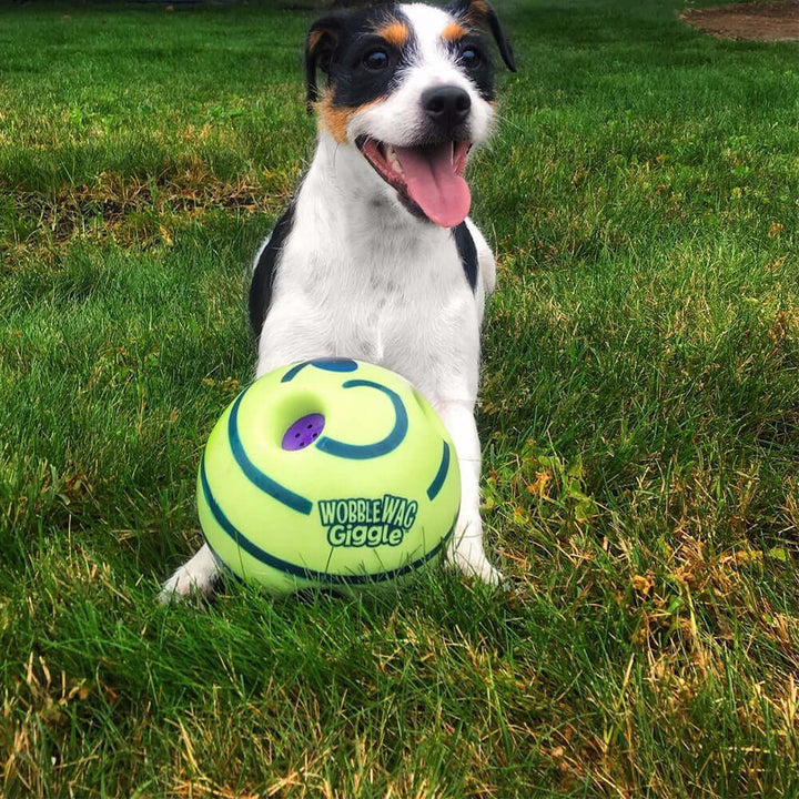 Balle interactive pour chien - GiggleSphere