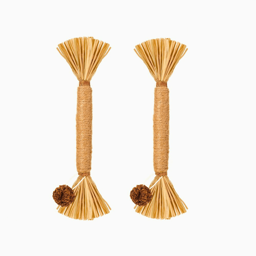 Bâtonnets à mâcher pour chat - Lot de 5 - Silvervine naturel
