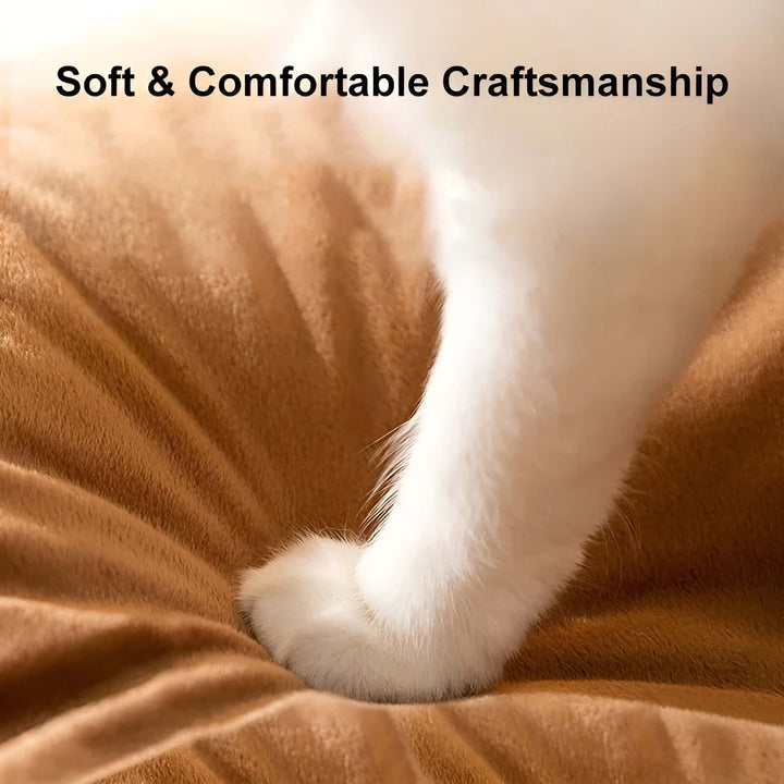Tente confortable pour chat - lit confortable pour animaux de compagnie