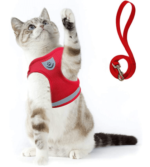 Ausbruchsicheres Katzengeschirr mit Leine