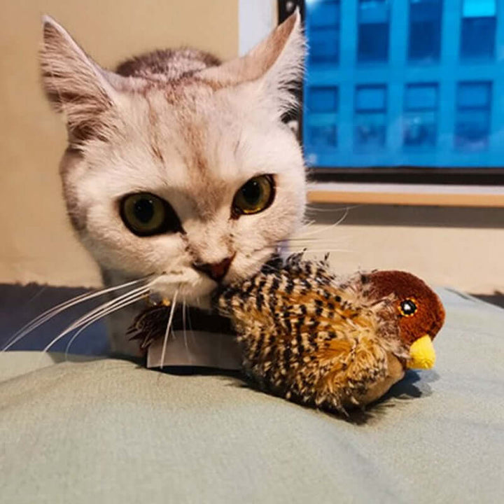 Jouet interactif pour chat oiseau avec sons