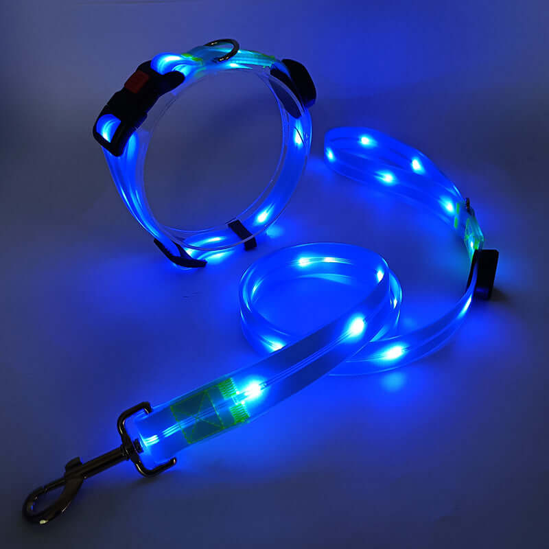 Collier LED pour chien avec laisse - Sûr et visible