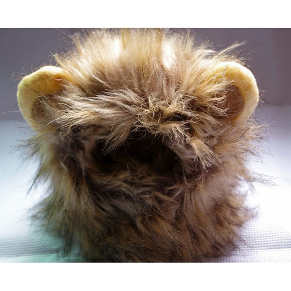 Crinière de lion pour chat, crinière de costume pour animal de compagnie