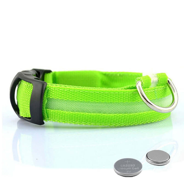 Collier LED pour chien - collier de sécurité