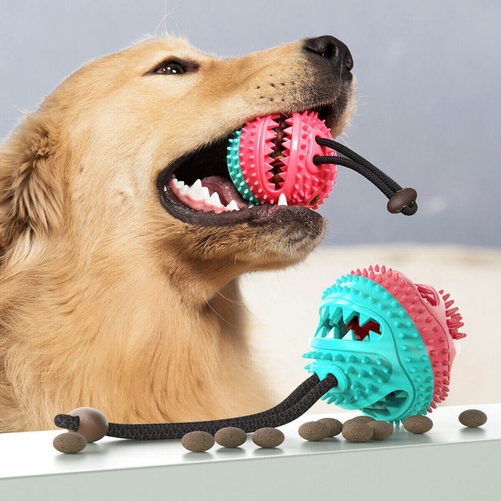 Jouet à tirer robuste pour chien avec ventouse