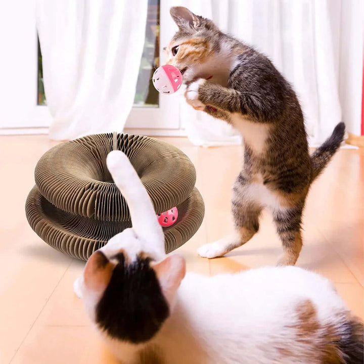 Jouets interactifs pour chats - jeux et divertissements
