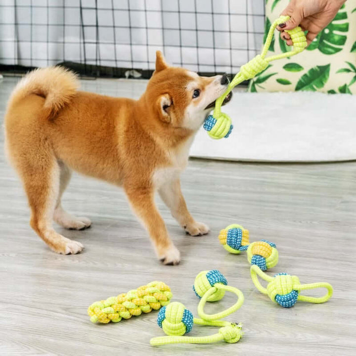 Jouet pour chien en corde - soins dentaires et divertissement