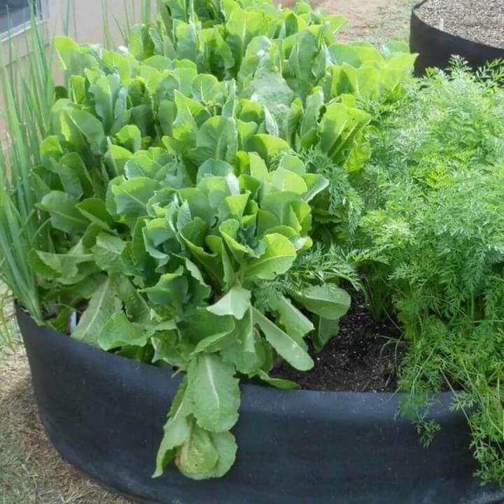 Jardinière surélevée en tissu pour jardin et balcon