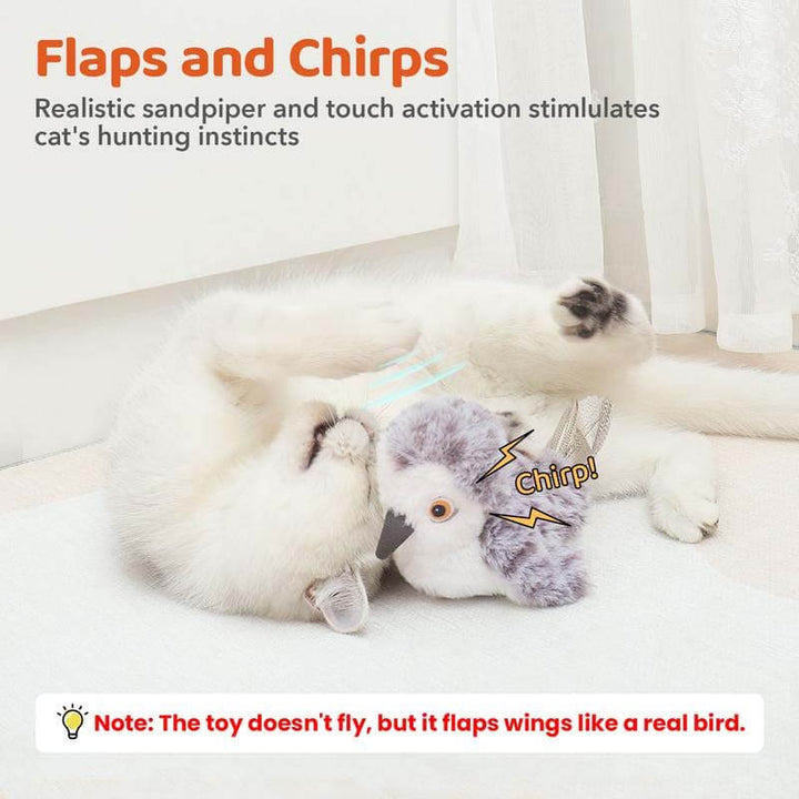 Jouet interactif pour chat oiseau avec sons