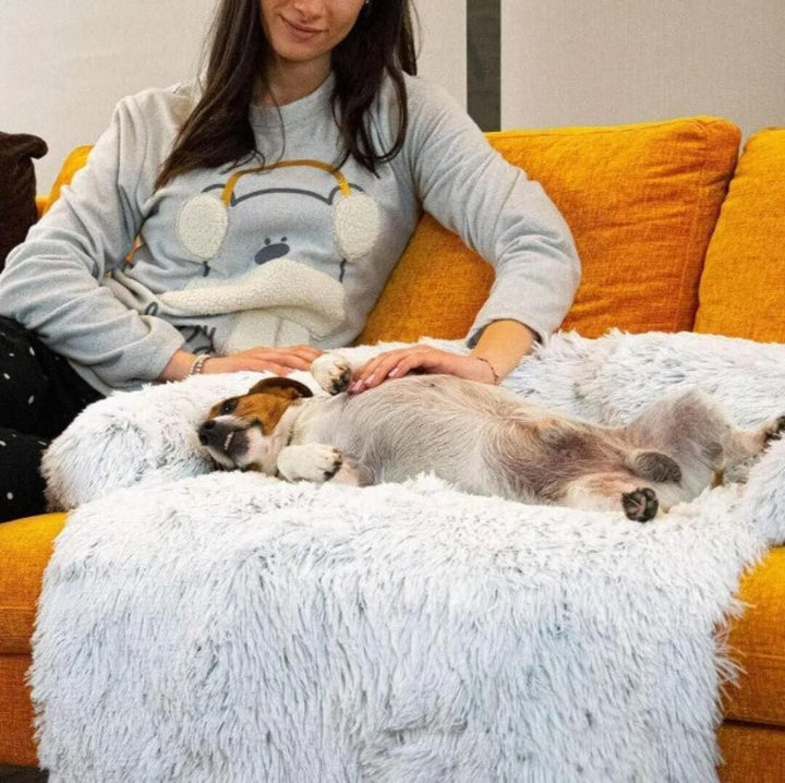 Canapé confortable pour chien et animal de compagnie